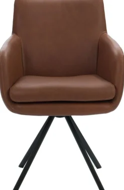 Clearance Eijerkamp Collectie Alezi Armstoel Brown