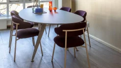 Discount Artifort Aloa Eetkamerstoel Roze, Rood