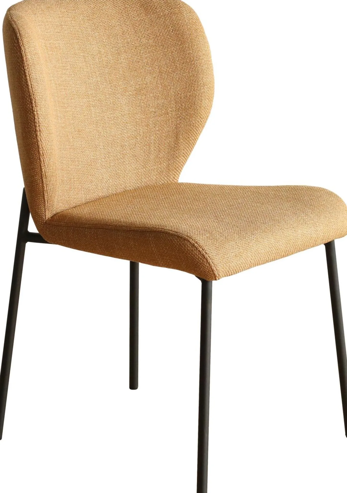 New Eijerkamp Collectie Andrew Eetkamerstoel Yellow