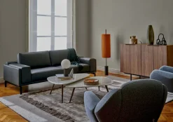 Hot Leolux Anton Fauteuil