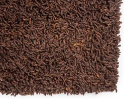 Best Brinker Carpets Berbero Lungo Vloerkleed Natural Beige