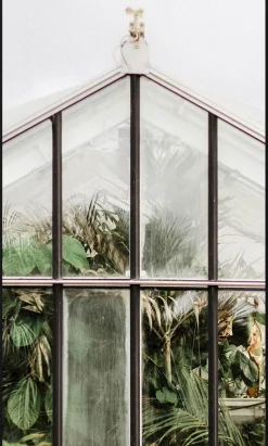 Trendhopper Botanical Stories Wanddecoratie Multi