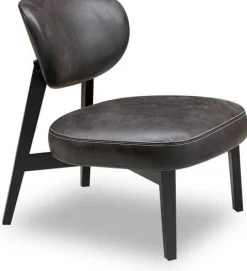 Best Eijerkamp Collectie Buddy Fauteuil Zwart