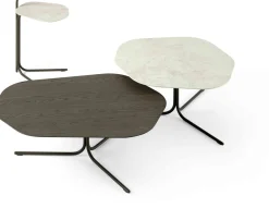 Leolux Canopy Salontafel Nuit
