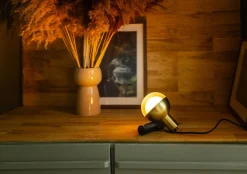 Eijerkamp Collectie Drop Lamp Zwart, Goud
