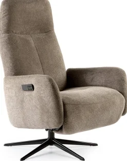 Discount Feelings Wonen Elias Large Relaxfauteuil Liver
