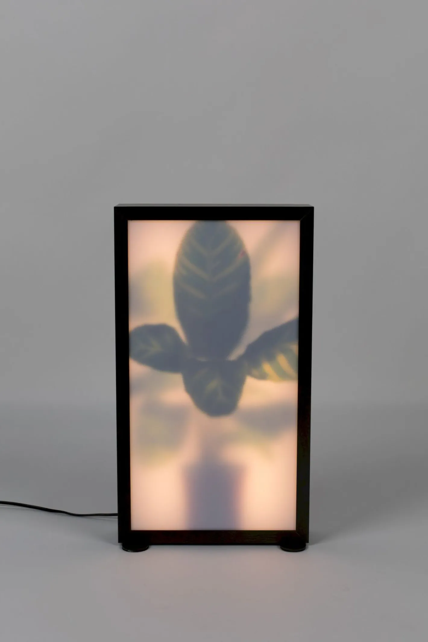 Outlet Zuiver Grow M Vloerlamp Black