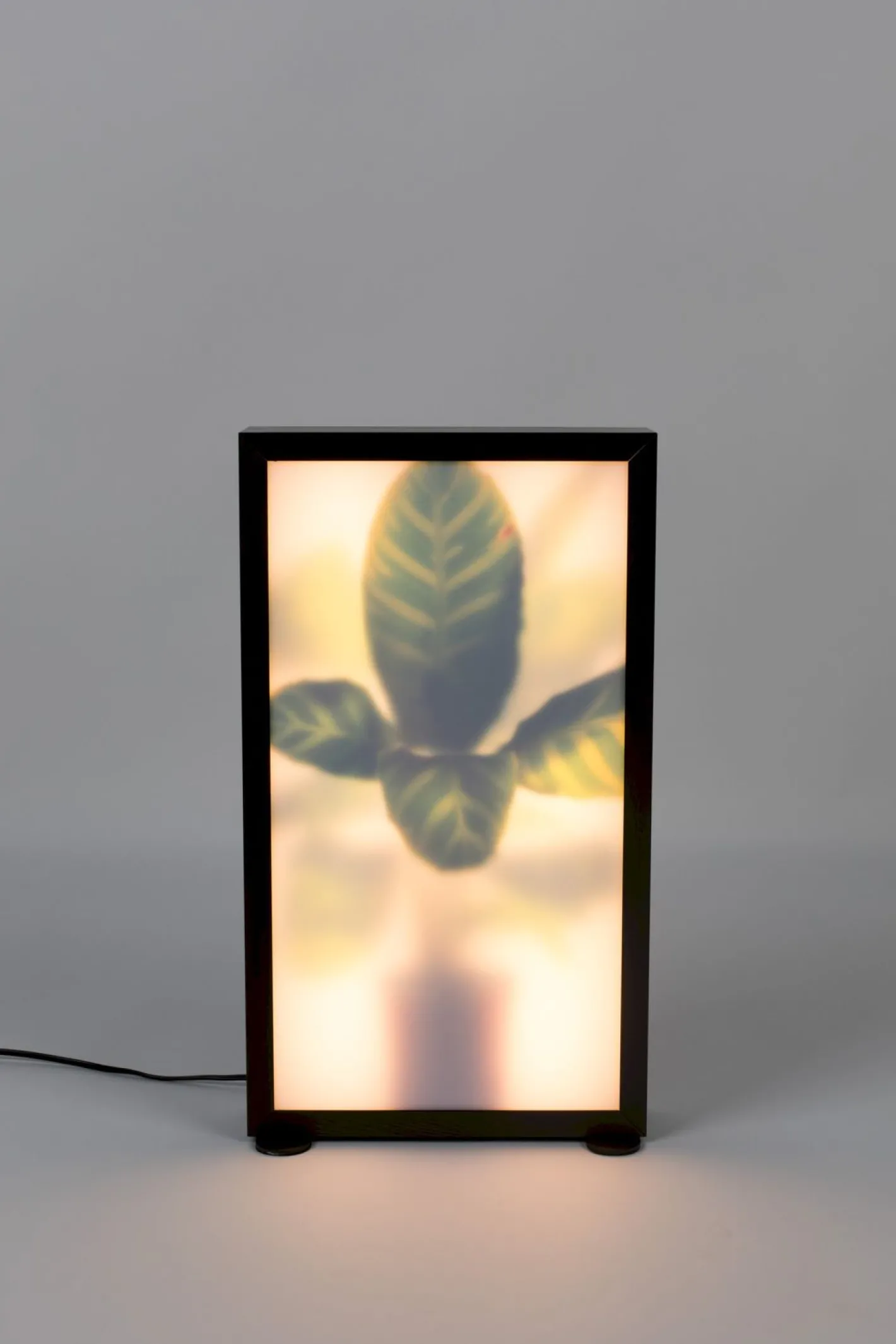 Outlet Zuiver Grow M Vloerlamp Black