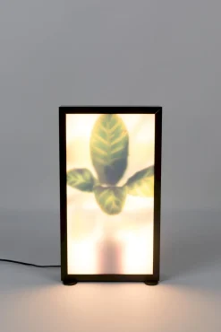 Outlet Zuiver Grow M Vloerlamp Black