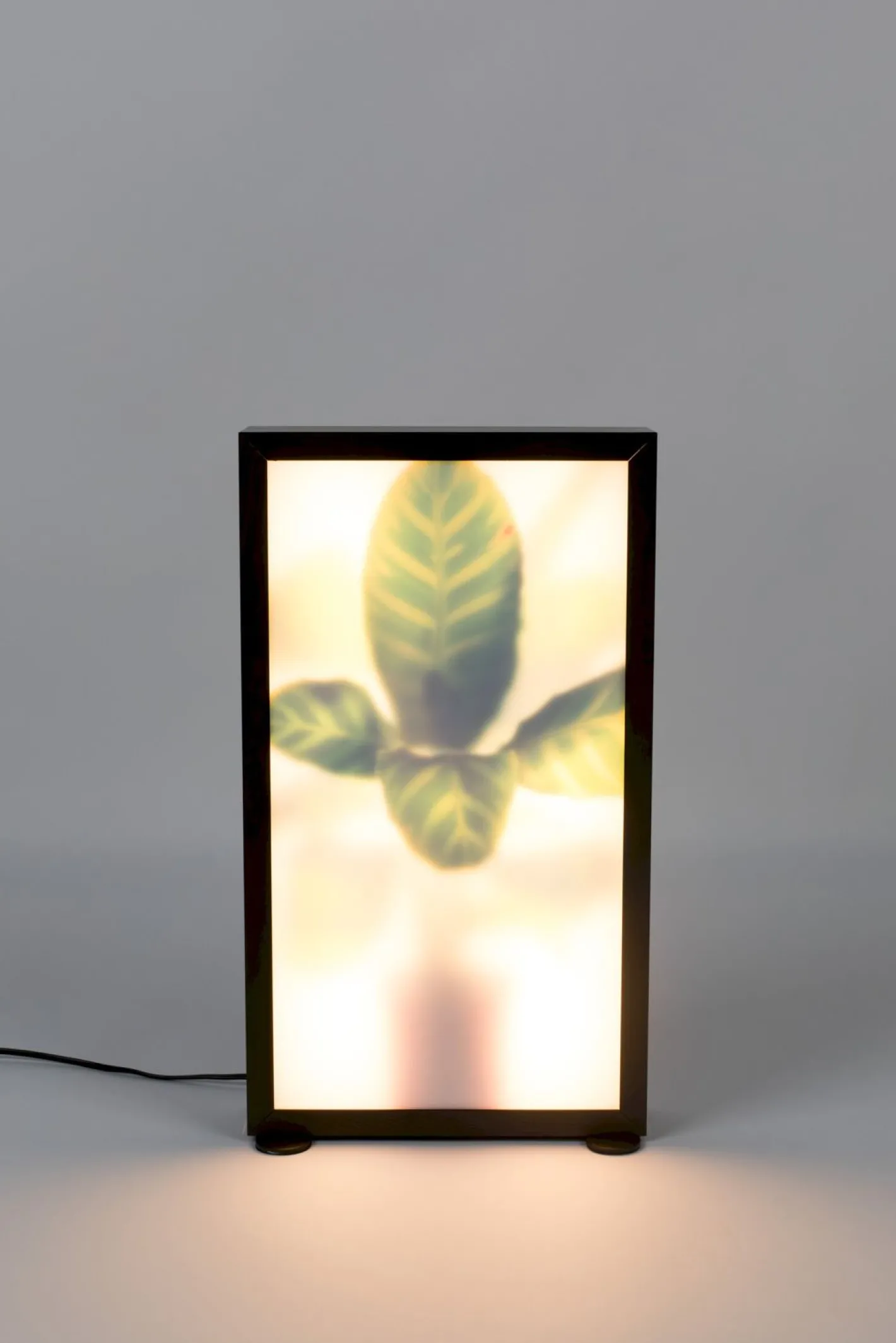 Outlet Zuiver Grow M Vloerlamp Black