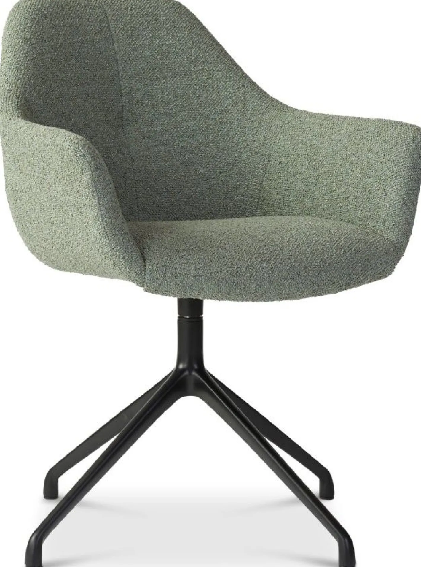 Sale Eijerkamp Collectie Ids Eetkamerstoel Light Green