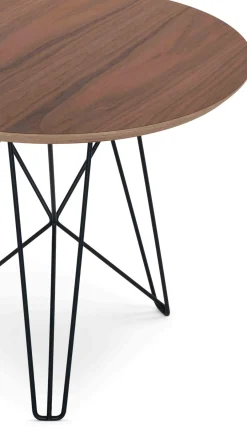 Clearance Pastoe Ijhorst Bijzettafel bruin