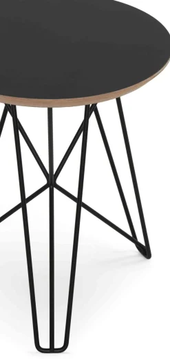 Clearance Pastoe Ijhorst Bijzettafel bruin