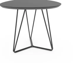 Online Eijerkamp Collectie Kember Bijzettafel Bruin