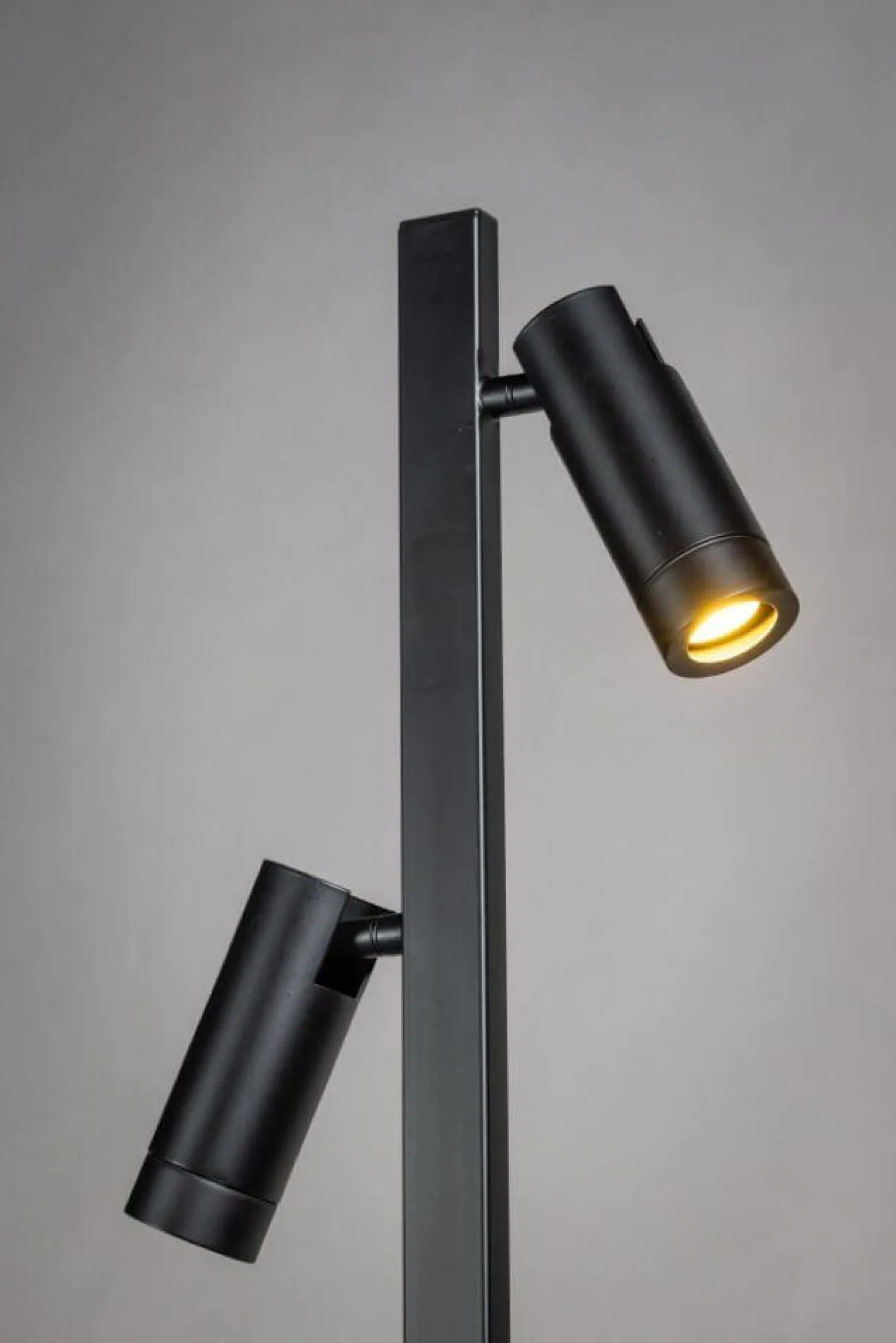Online Eijerkamp Collectie Miller 2-lichts Vloerlamp Zwart