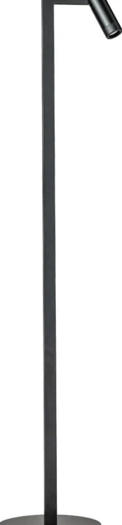 Discount Eijerkamp Collectie Miller 1-lichts Vloerlamp Zwart