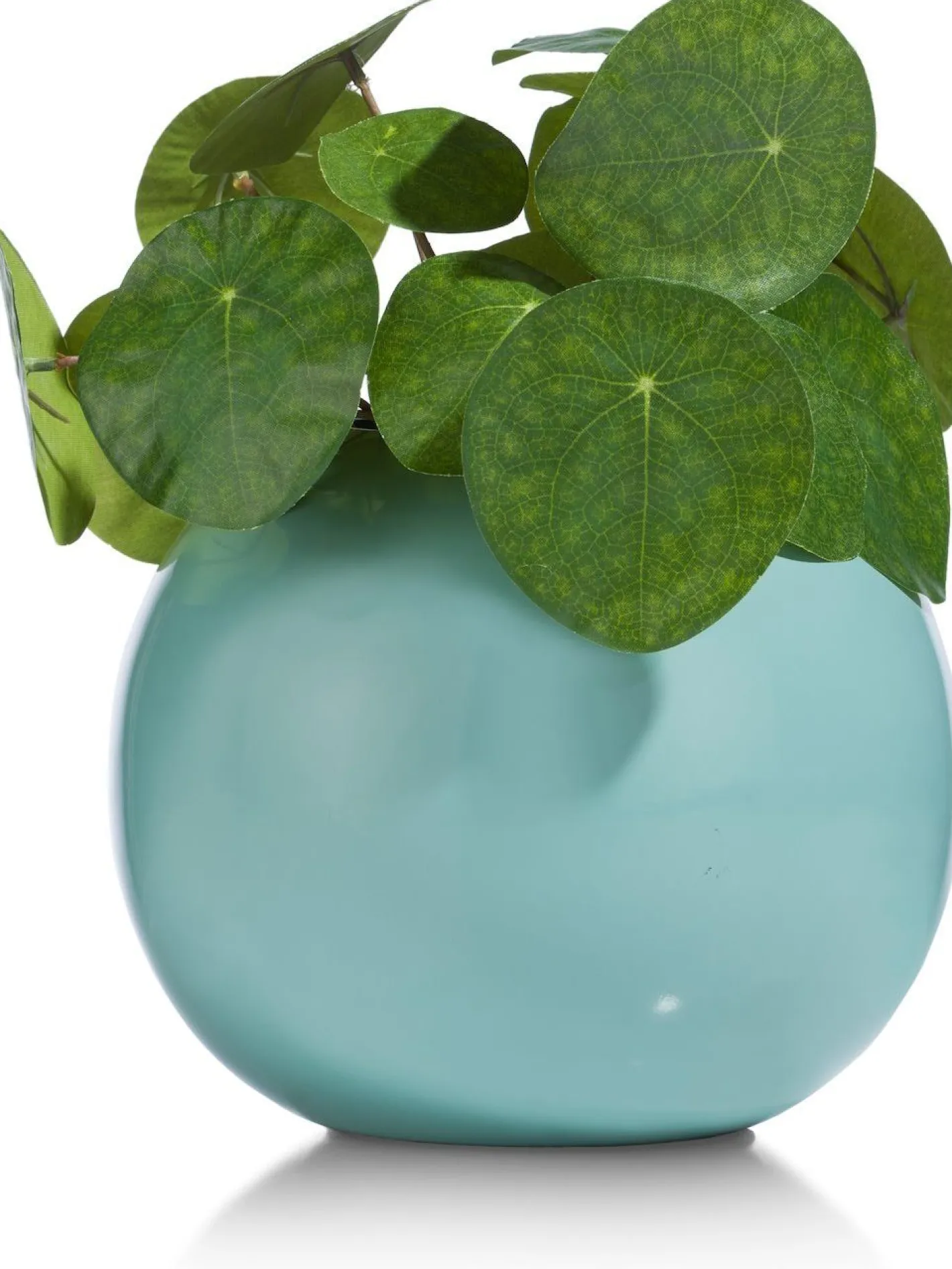Discount COCO maison Plano M Vaas MINT