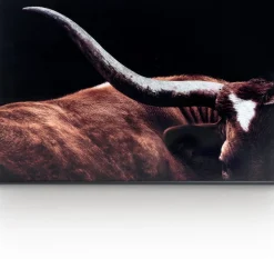 Sale COCO maison Rodeo Schilderij Zwart, Bruin