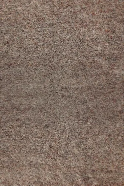 Discount Brinker Carpets Salsa Vloerkleed Fox