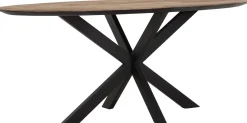 Sale DTP Home Shape Ovaal Eettafel Bruin