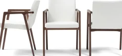 Discount Harvink Splinter Eetkamerstoel Groen, Bruin