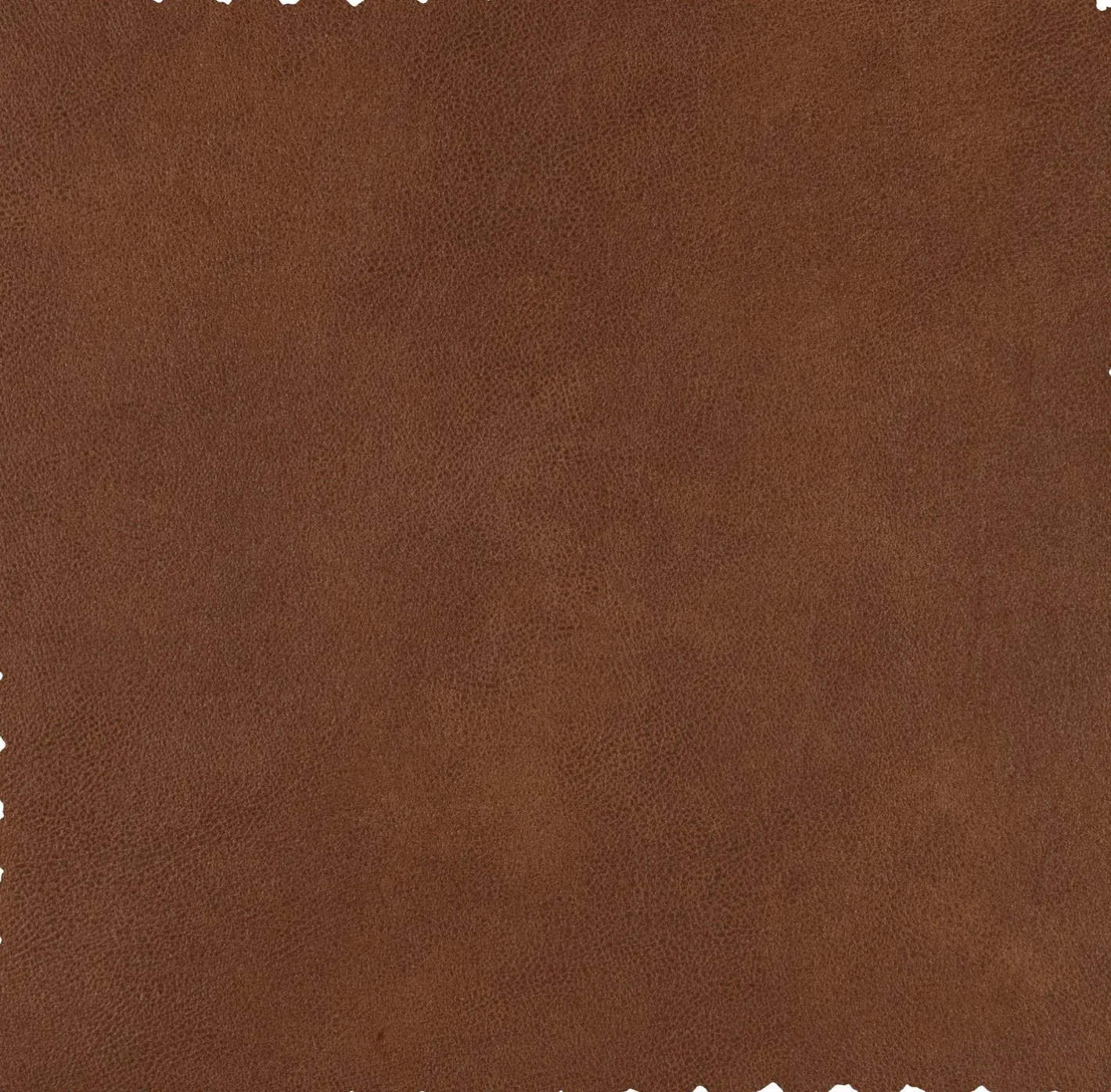 Clearance WOOOD Statement XL 4-zitsbank Cognac
