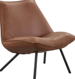 New Eijerkamp Collectie Sunny Fauteuil Bruin