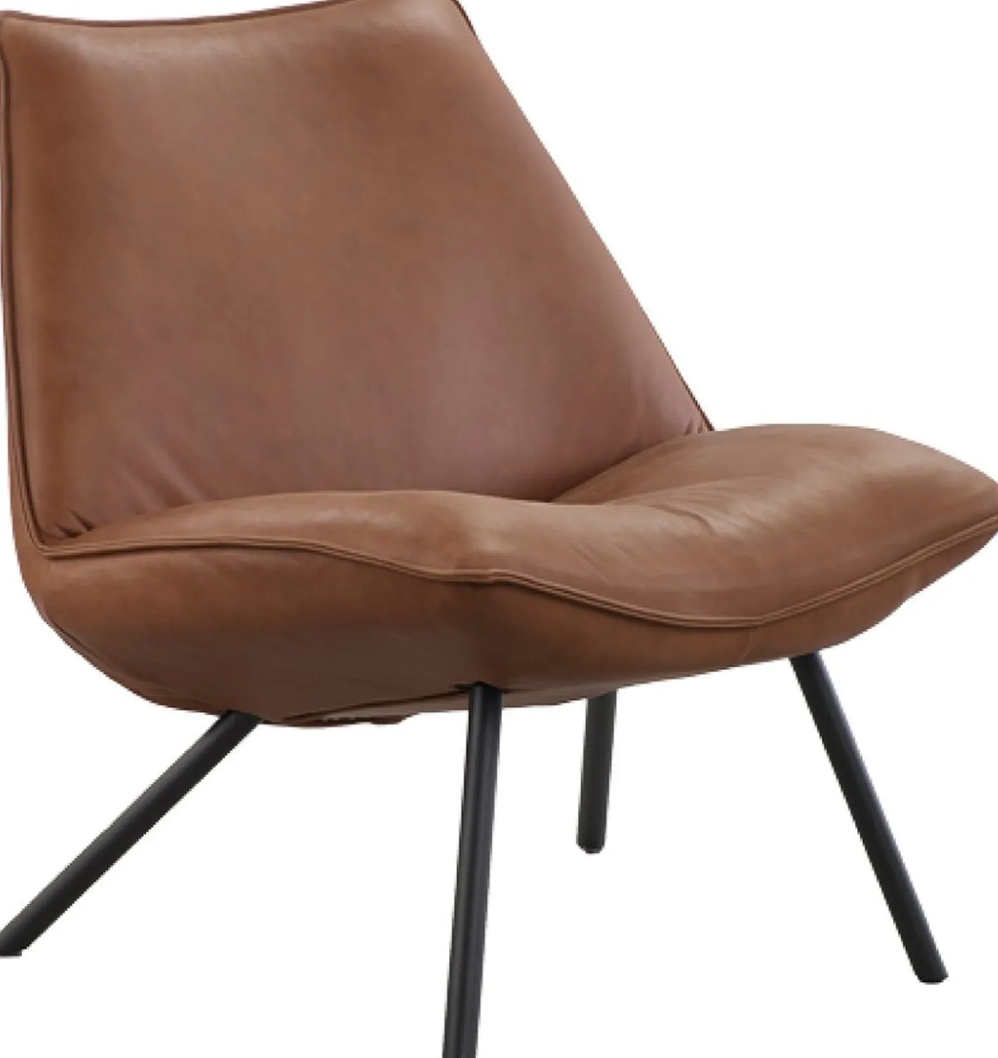 New Eijerkamp Collectie Sunny Fauteuil Bruin