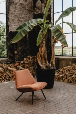 New Eijerkamp Collectie Sunny Fauteuil Bruin