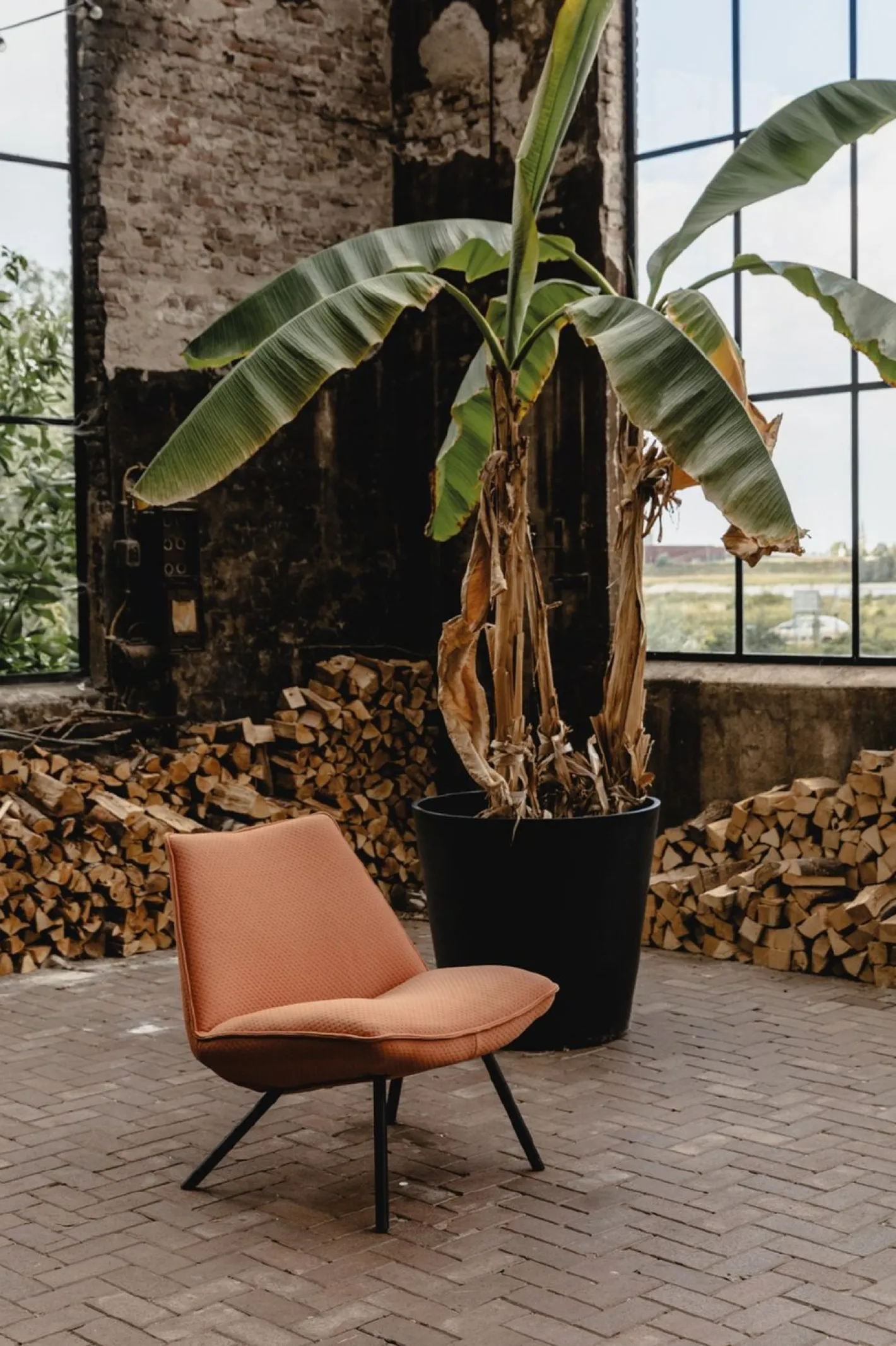 New Eijerkamp Collectie Sunny Fauteuil Bruin