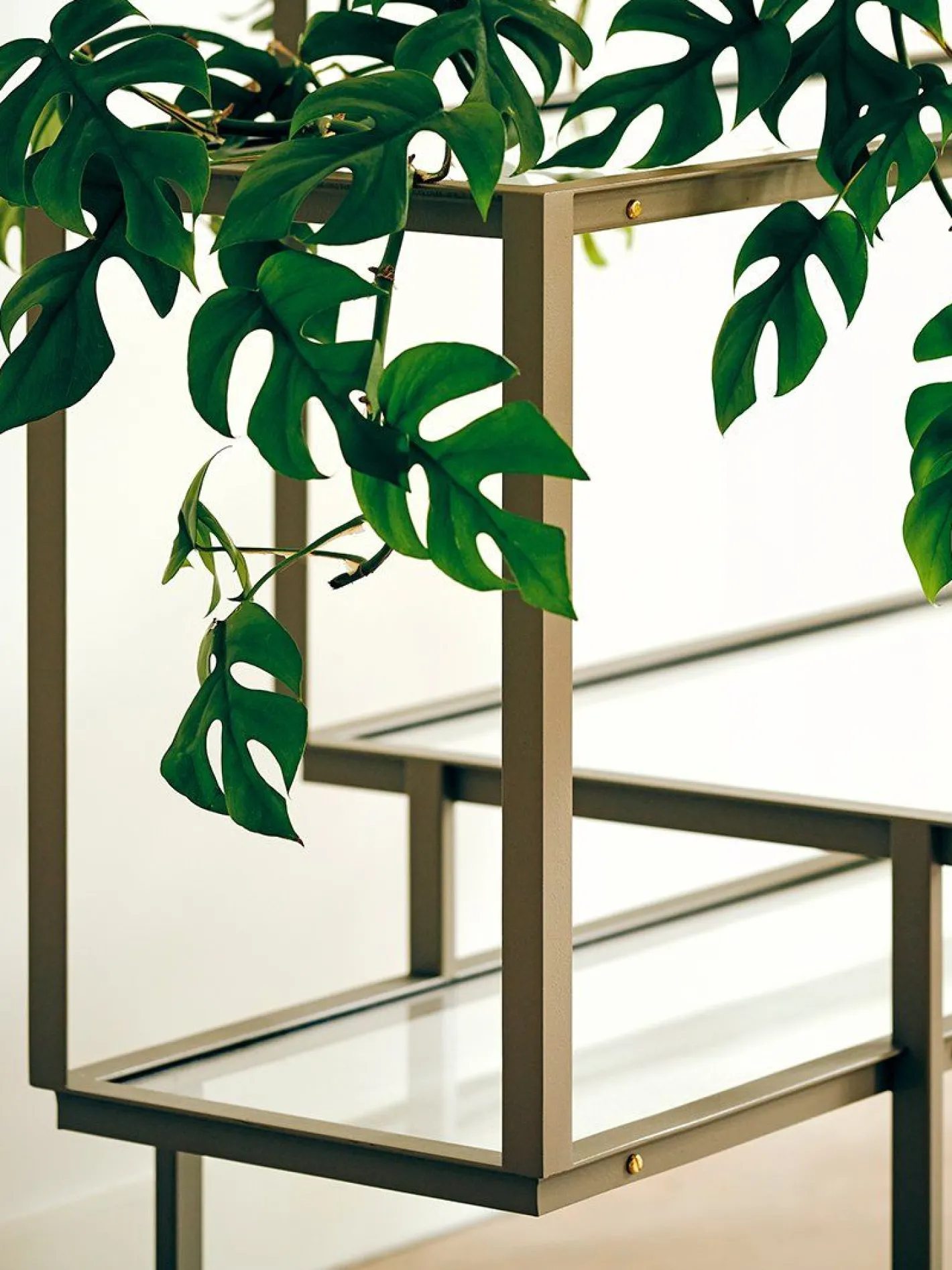 Outlet Pastoe Tangled Dressoir zwart