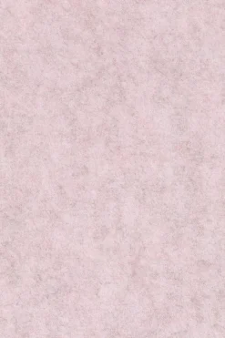 Zuiver Thirsty (set van 2) Eetkamerstoel Soft Pink