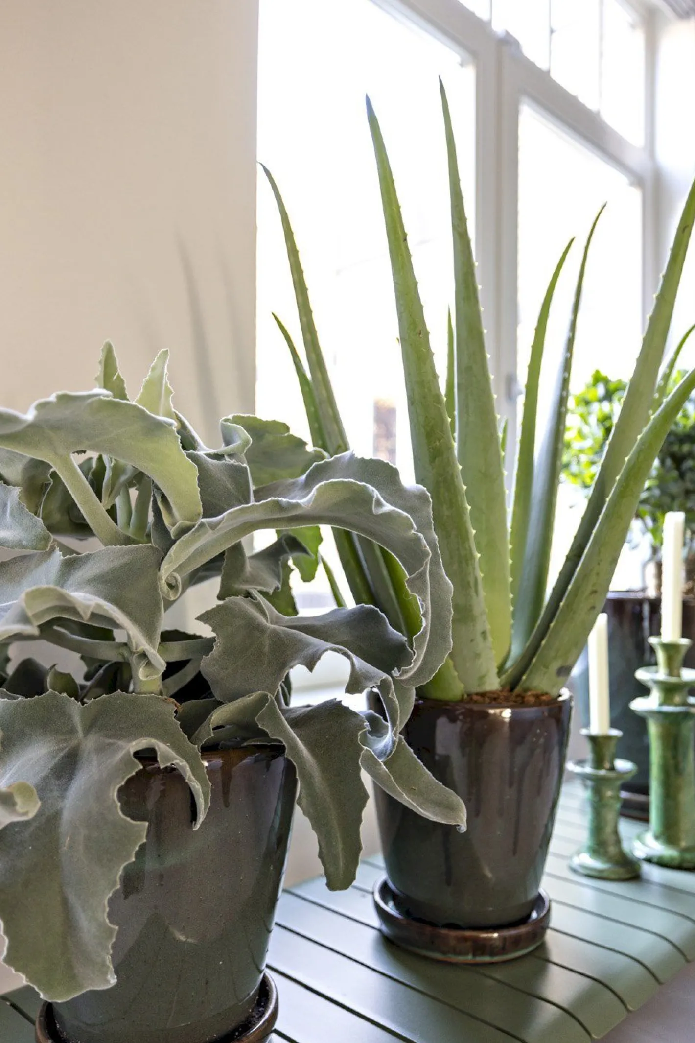 Sale Zuiver Vondel Tuinbank Green